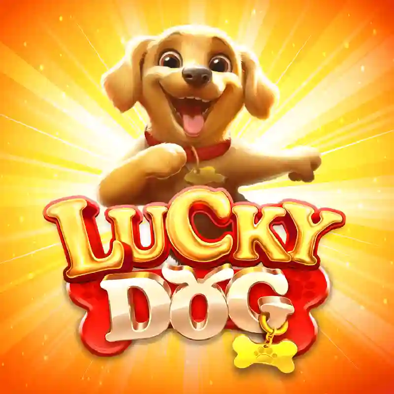 Lucky Dog slot game interface abest777